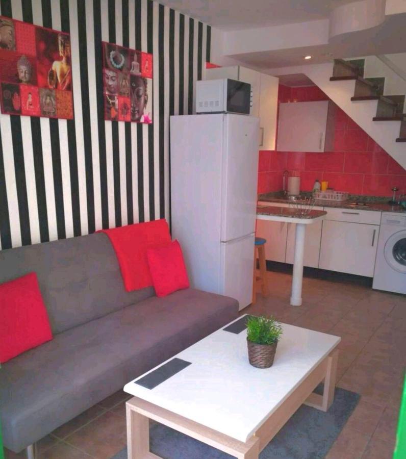 Dunaflor Red San Bartolome Bagian luar foto